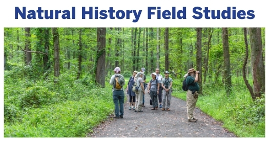 Natural History Field Studies