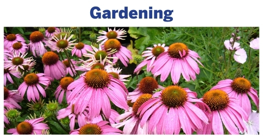 Gardening & Native Plants