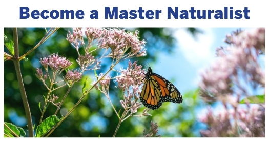 Master Naturalist