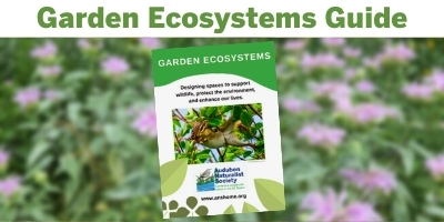 Garden Ecosystems Guide