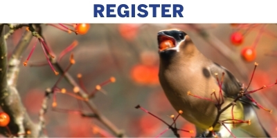 Register