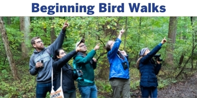 Beginning Bird Walks