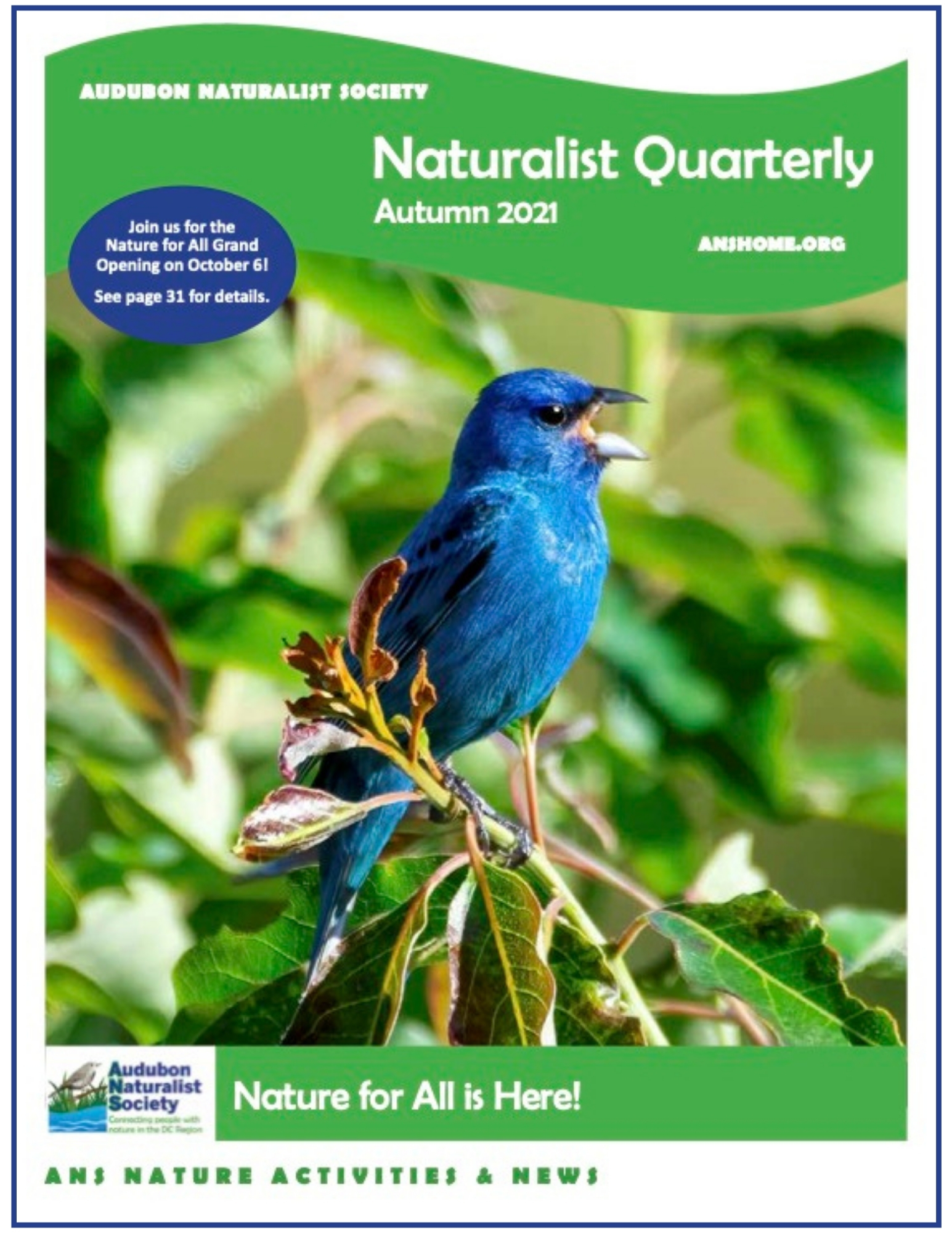 ANS Naturalist Quarterly - Summer 2021
