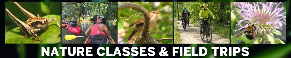 Nature Classes and Field Trips
