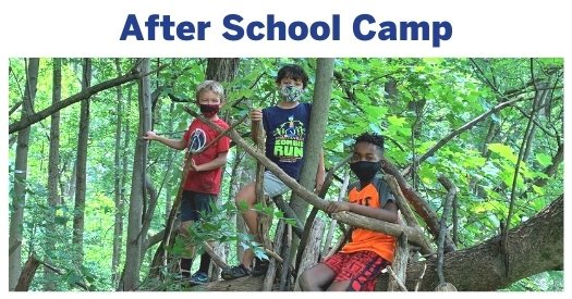 Get your child off their screens and into the green with our After School Camps