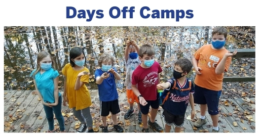 Make the most of school holidays and days off by “unplugging” and getting your children outside in nature at our Days Off Camps