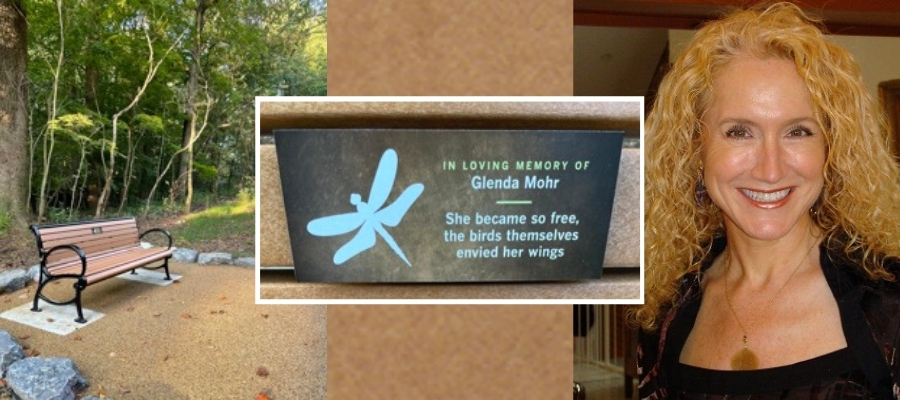 Memorial bench in honor of Glenda Mohr . The bench is located along part of our new accessible trail at Woodend Nature Sanctuary.