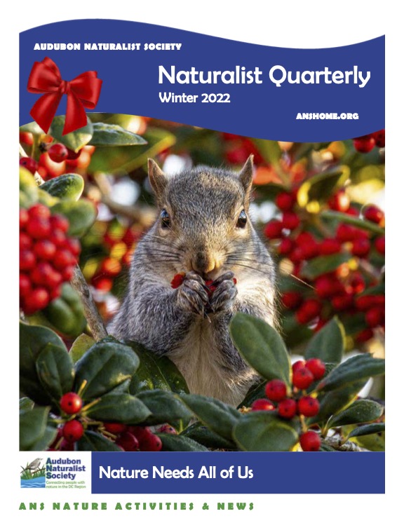 ANS Naturalist Quarterly - Summer 2021