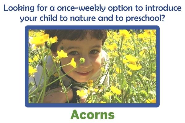 Nature Preschool once-weekly Acorns program