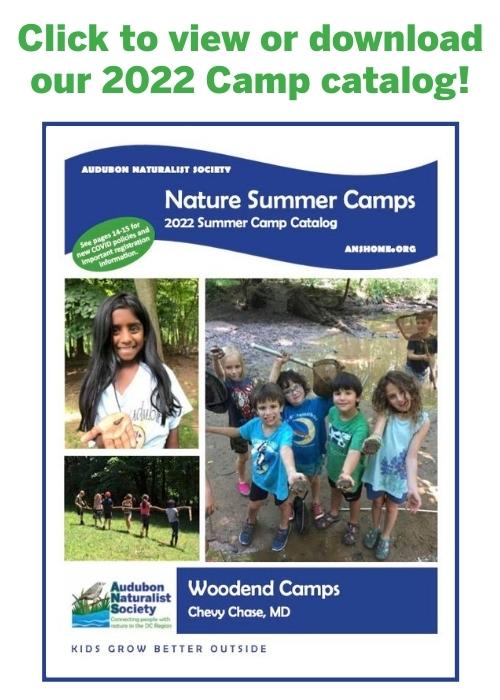 Nature-based summer camps providing environmental science education for Pre-K, elementary, middle school and high school students just outside Washington, DC in Chevy Chase, MD