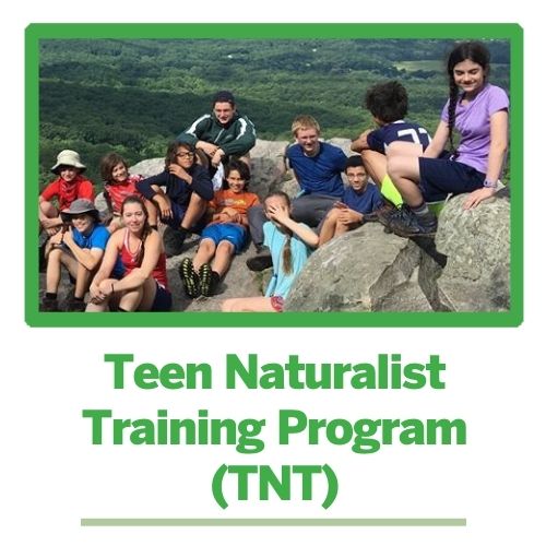 Teen Naturalist Training (TNT) Program