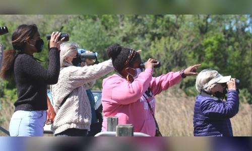 42nd Annual ANS Bloomin' Birdathon