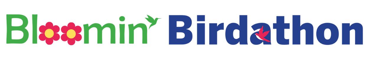 42nd ANS Bloomin' Birdathon