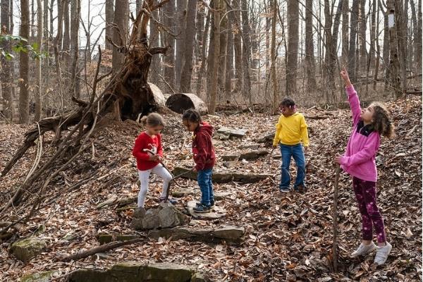 Belonging - An ANS Taking Nature Black/U.S. Forest Service Photo eBook