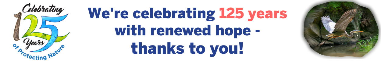 We're celebrating 125 years with renewed hope -- thanks to you!