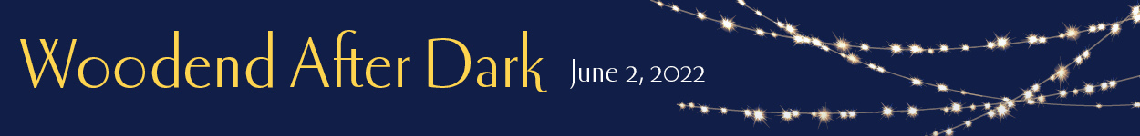 After Dark, our gala fundraising party, happens June 2, 2022