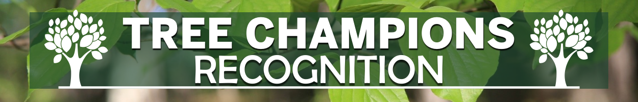 Tree Champion Recognition